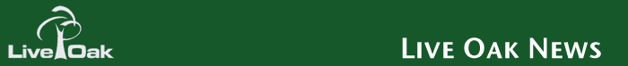 Live Oak Interactive